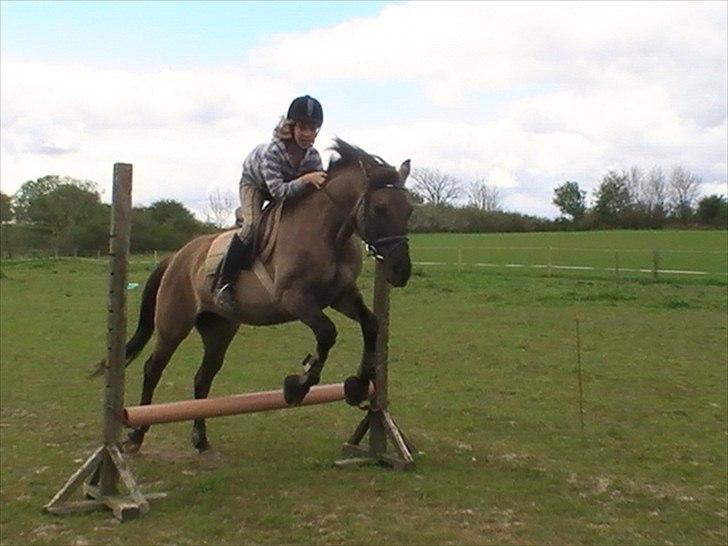 Hygger med Lorell. billede 37