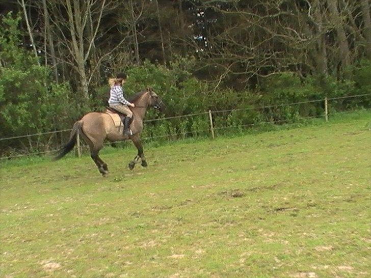 Hygger med Lorell. billede 38