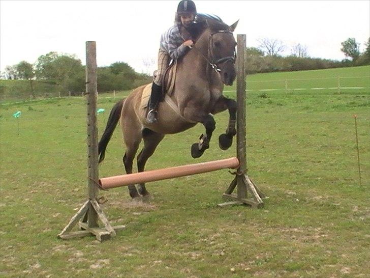 Hygger med Lorell. billede 39