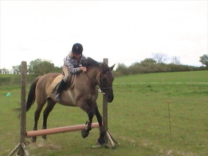 Hygger med Lorell. billede 40