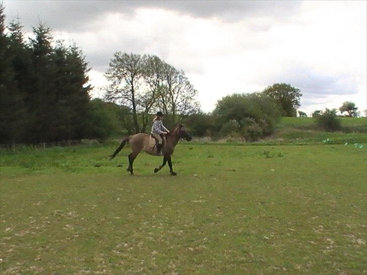 Hygger med Lorell. billede 41