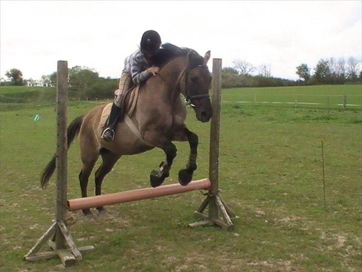 Hygger med Lorell. billede 42