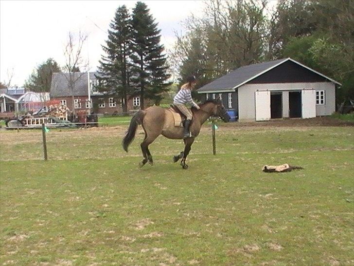 Hygger med Lorell. billede 43