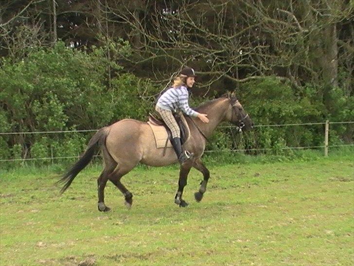 Hygger med Lorell. billede 44