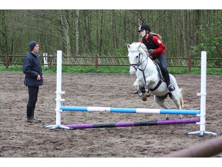 {{currentPhoto.altText}} billede {{currentPhoto.number}}