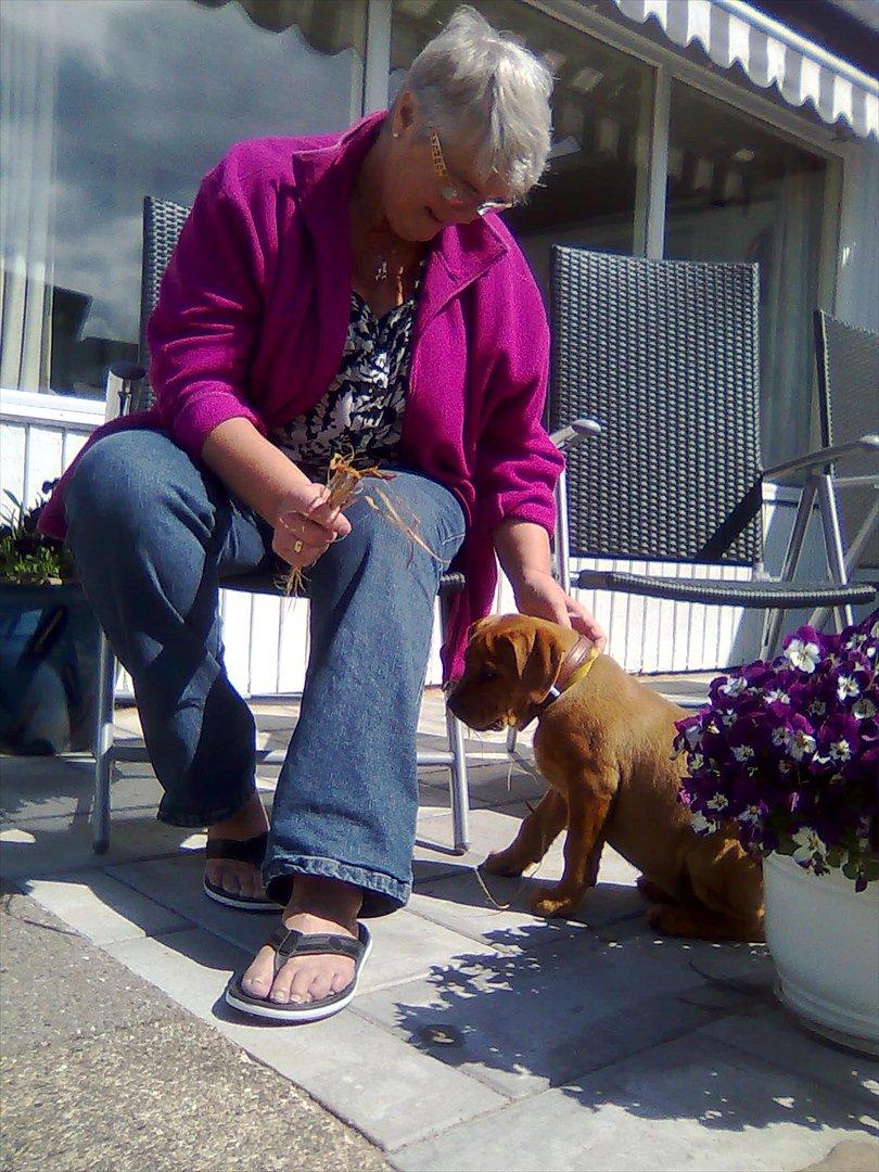 Broholmer bibsen - Sikke dog en sød svigermor hun forstår bare når man har brug for lidt tryghed.. billede 8