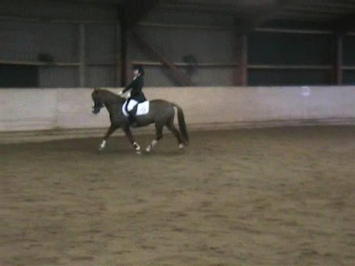 STÆVNE I HESTEHAVENS RIDEKLUB / KILLERUP RIDEKLUB - På KIR billede 3