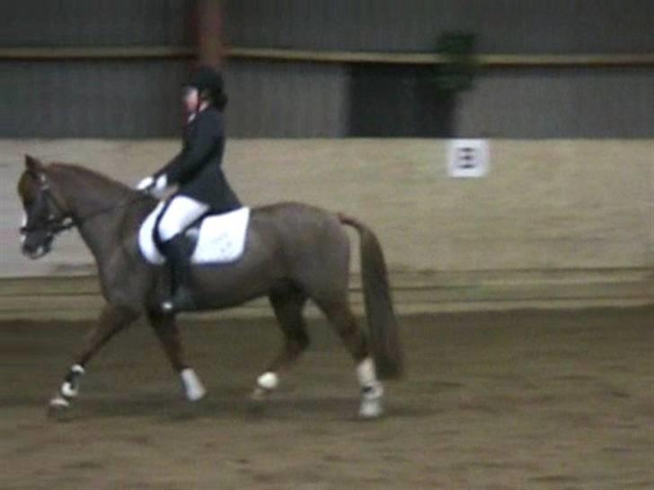 STÆVNE I HESTEHAVENS RIDEKLUB / KILLERUP RIDEKLUB - På KIR billede 4