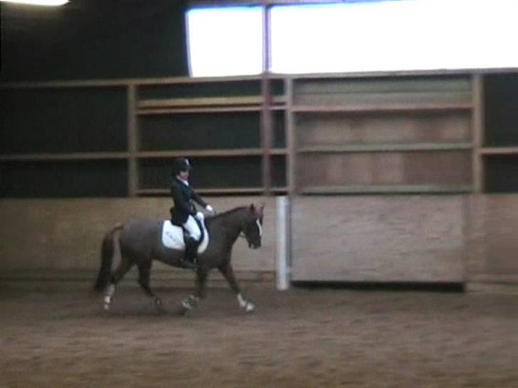 STÆVNE I HESTEHAVENS RIDEKLUB / KILLERUP RIDEKLUB - På KIR billede 6