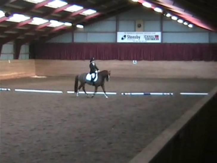 STÆVNE I HESTEHAVENS RIDEKLUB / KILLERUP RIDEKLUB billede 9