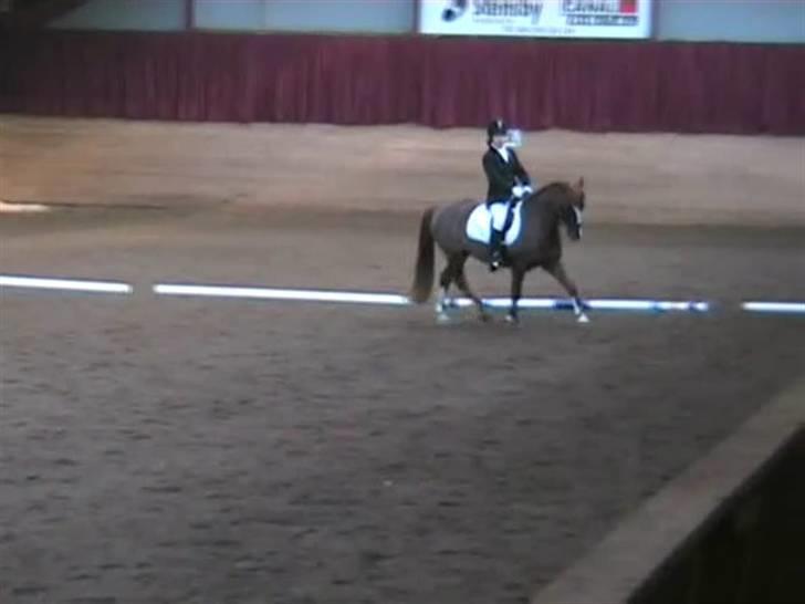 STÆVNE I HESTEHAVENS RIDEKLUB / KILLERUP RIDEKLUB billede 13