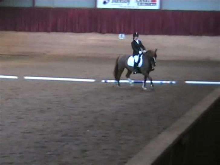 STÆVNE I HESTEHAVENS RIDEKLUB / KILLERUP RIDEKLUB billede 14