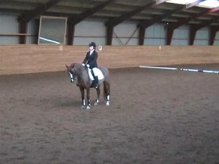 STÆVNE I HESTEHAVENS RIDEKLUB / KILLERUP RIDEKLUB billede 17