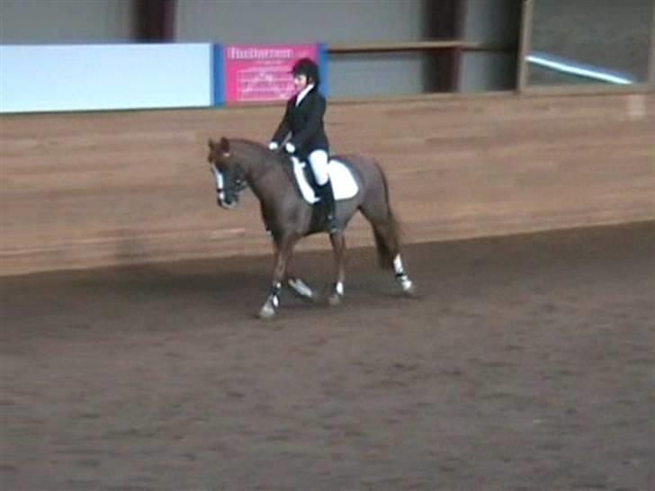 STÆVNE I HESTEHAVENS RIDEKLUB / KILLERUP RIDEKLUB billede 18