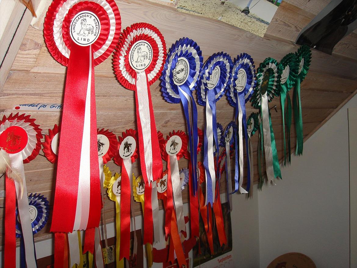 EGO Mee!:D<3 billede 43