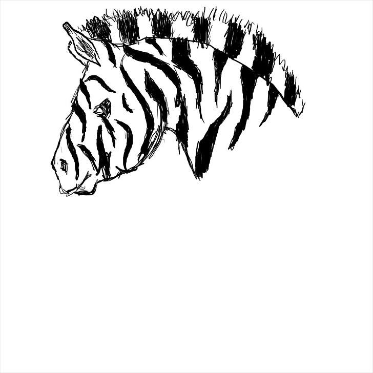 min første zebra tegning på computeren billede 1