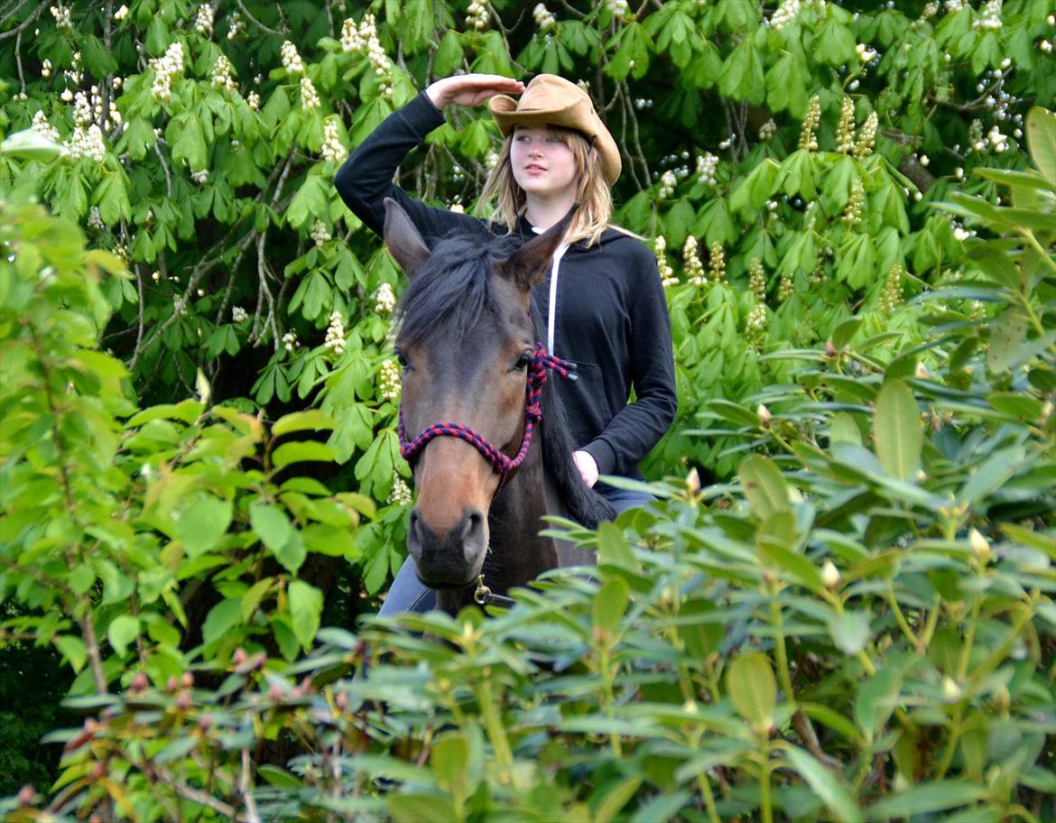 Højagers Lukina (Med føl efter Lambrusco Ask) billede 21