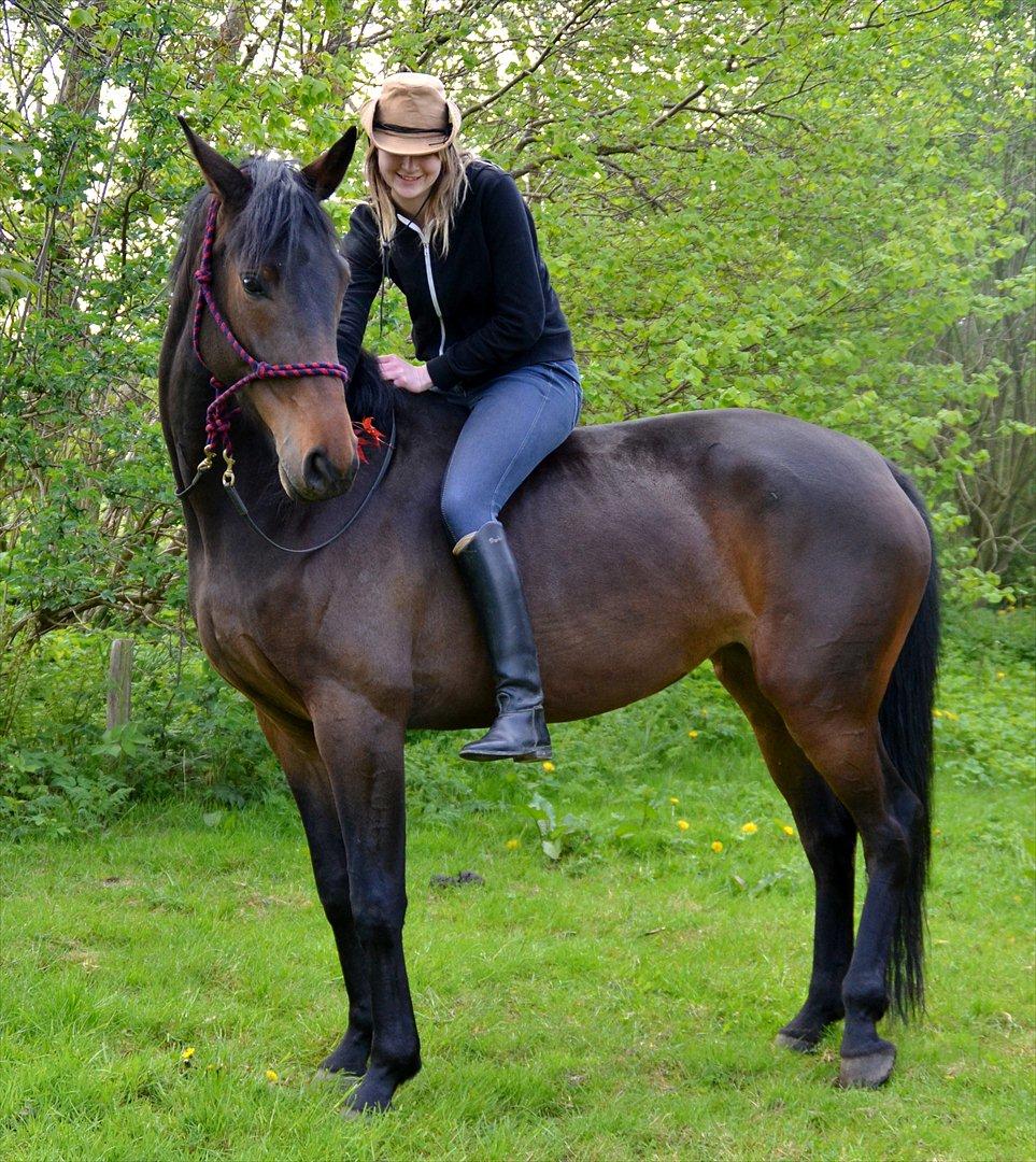 Højagers Lukina (Med føl efter Lambrusco Ask) billede 24