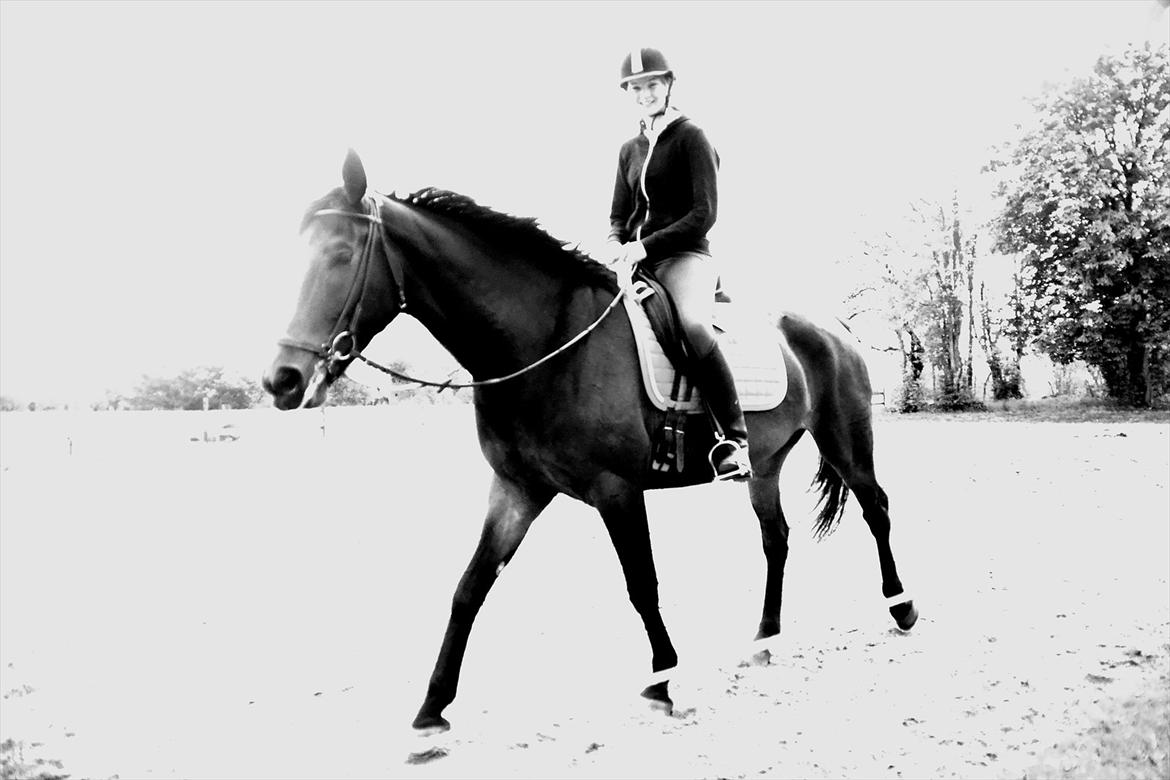 Højagers Lukina (Med føl efter Lambrusco Ask) billede 28