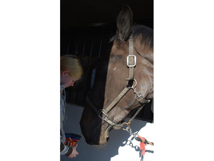 {{currentPhoto.altText}} billede {{currentPhoto.number}}