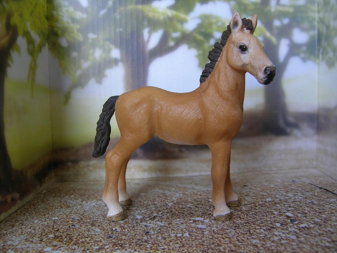 Mine Schleich Dyr - Navn: Hindbærgården's Camille. Race: Tennessee Walker. Køn: Hoppe. Alder: 1 år. Stamtavle: Mor: Cote DePaplo. Far: SkyDancer billede 30