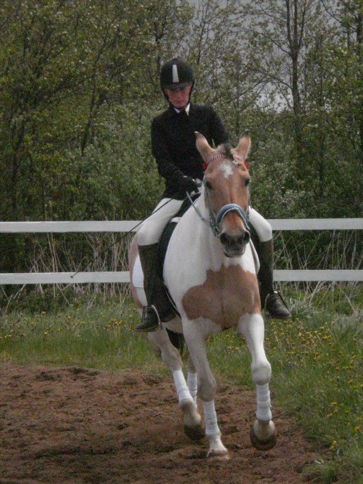 Klubstævne på Blis Rideklub :) billede 1