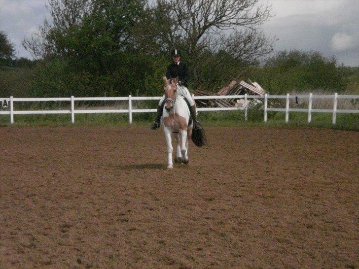 Klubstævne på Blis Rideklub :) billede 2