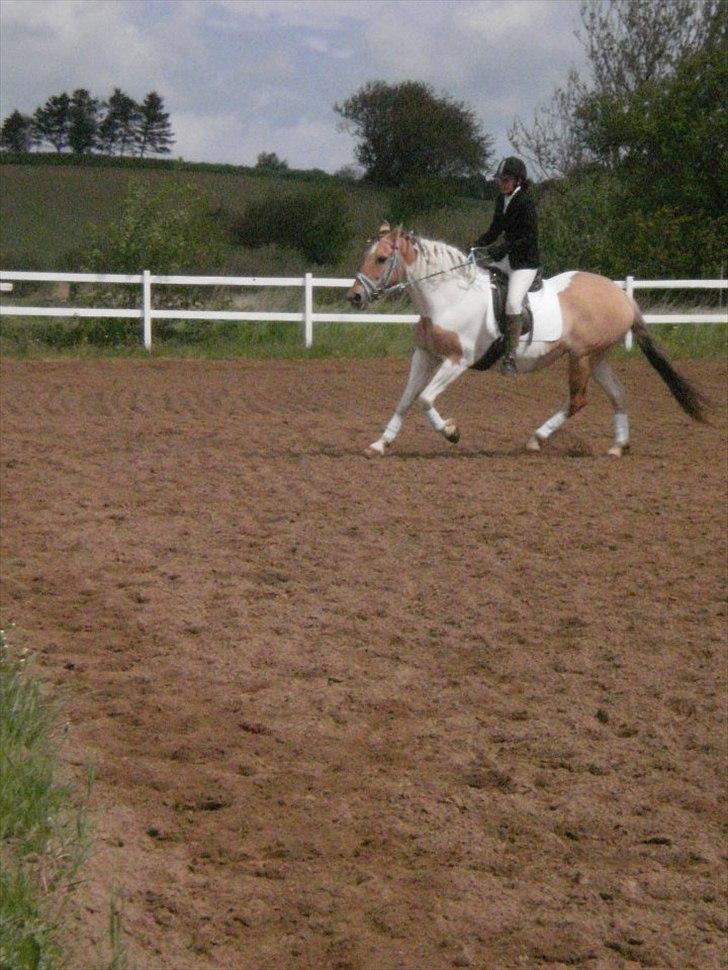 Klubstævne på Blis Rideklub :) billede 3