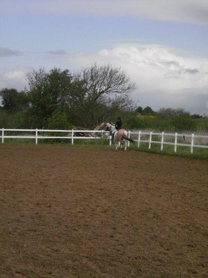 Klubstævne på Blis Rideklub :) billede 4