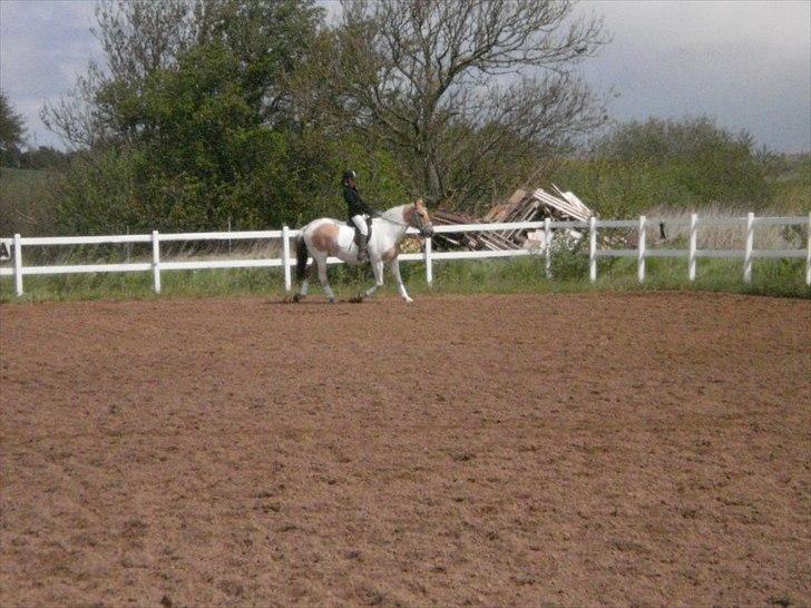Klubstævne på Blis Rideklub :) billede 5