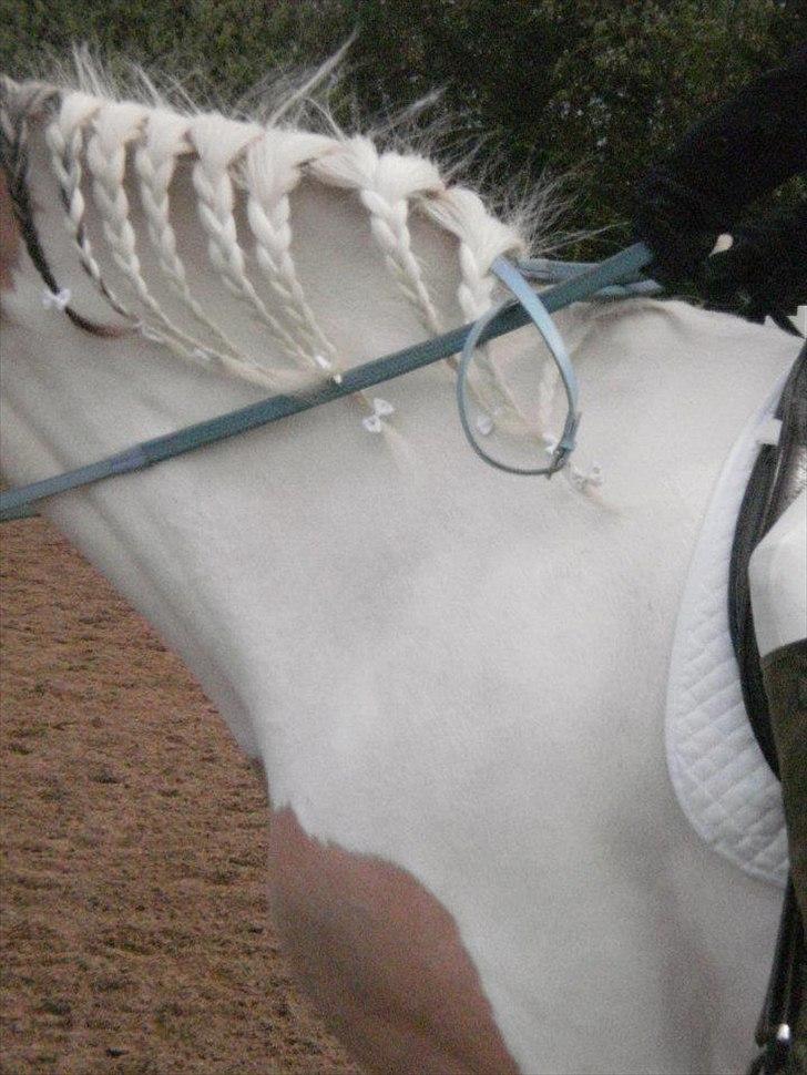 Klubstævne på Blis Rideklub :) billede 8