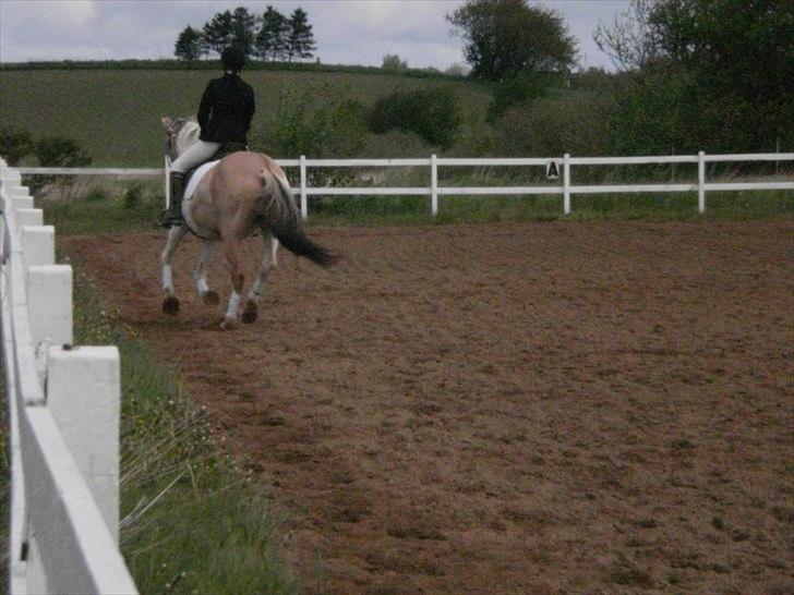 Klubstævne på Blis Rideklub :) billede 9