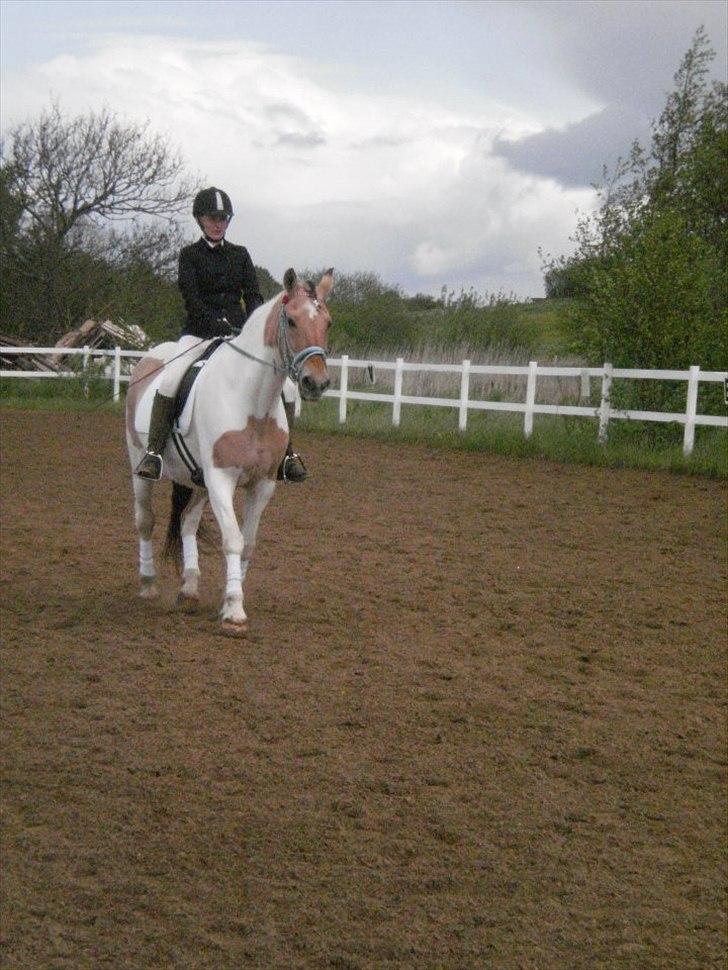 Klubstævne på Blis Rideklub :) billede 10