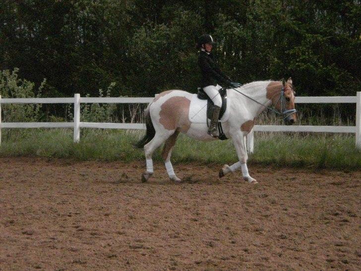 Klubstævne på Blis Rideklub :) billede 11
