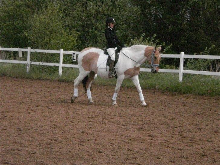 Klubstævne på Blis Rideklub :) billede 12