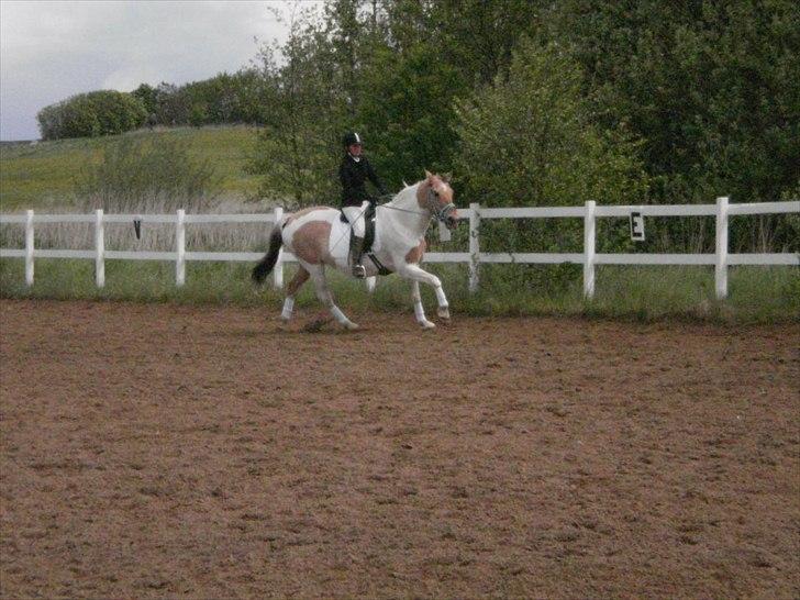 Klubstævne på Blis Rideklub :) billede 14