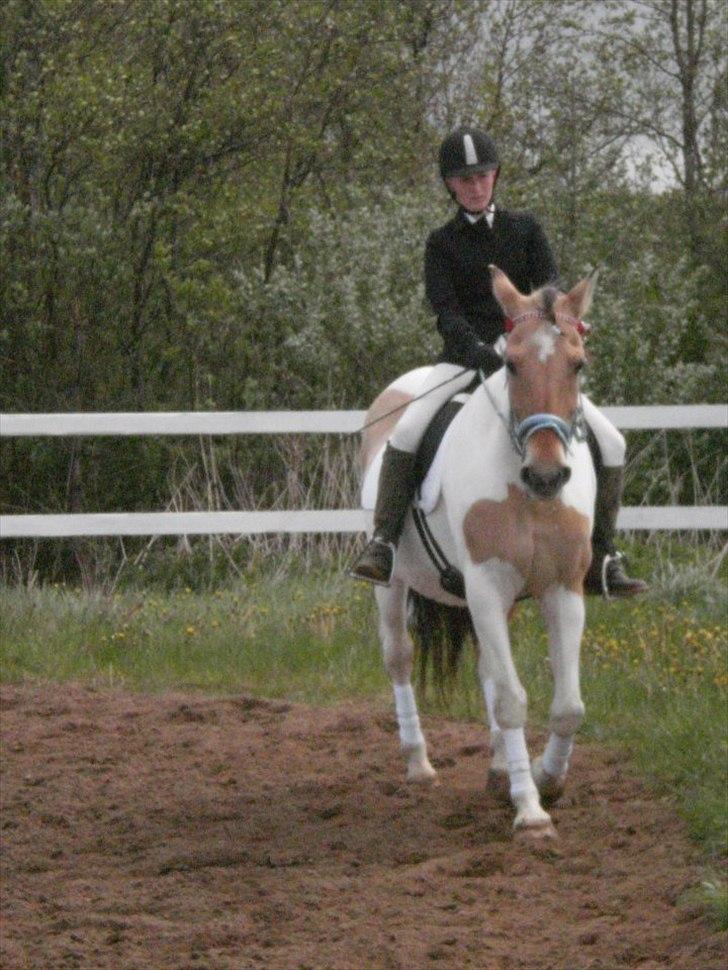 Klubstævne på Blis Rideklub :) billede 15