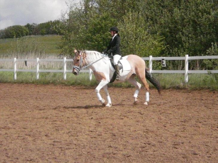 Klubstævne på Blis Rideklub :) billede 17