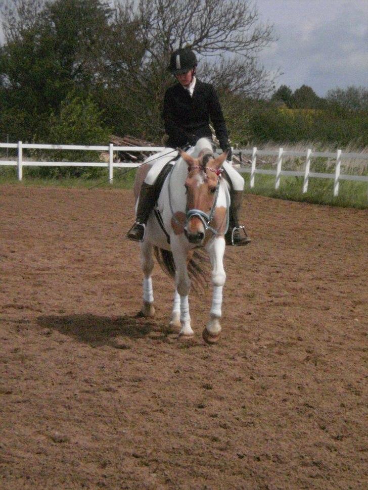 Klubstævne på Blis Rideklub :) billede 19
