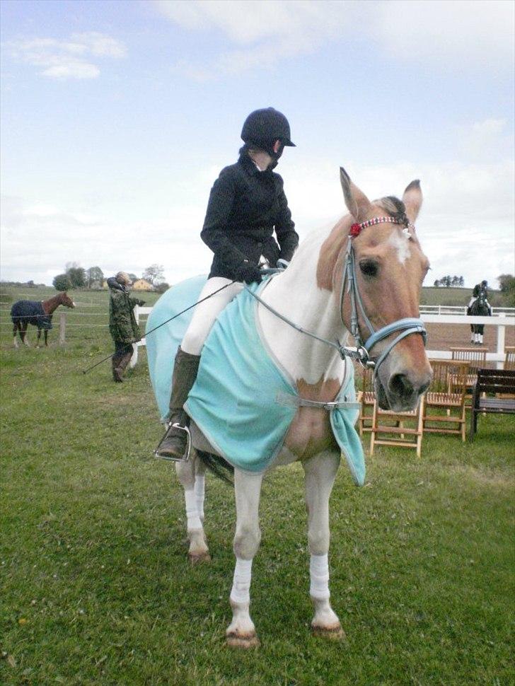 Klubstævne på Blis Rideklub :) billede 20