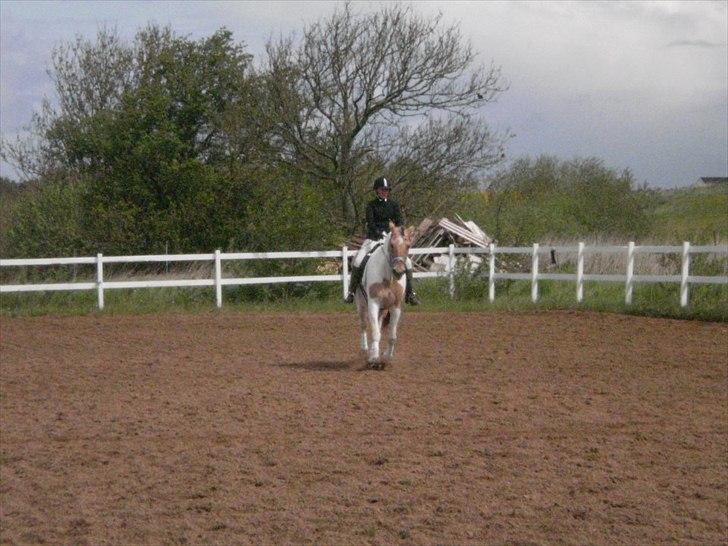 Klubstævne på Blis Rideklub :) billede 21