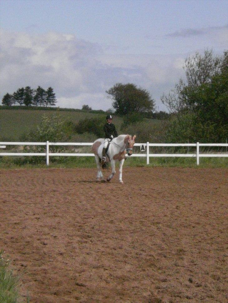 Klubstævne på Blis Rideklub :) billede 22