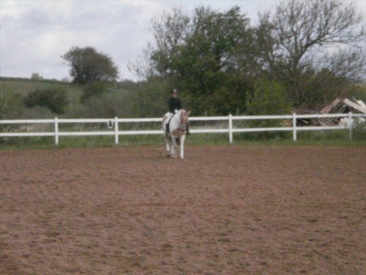 Klubstævne på Blis Rideklub :) billede 23