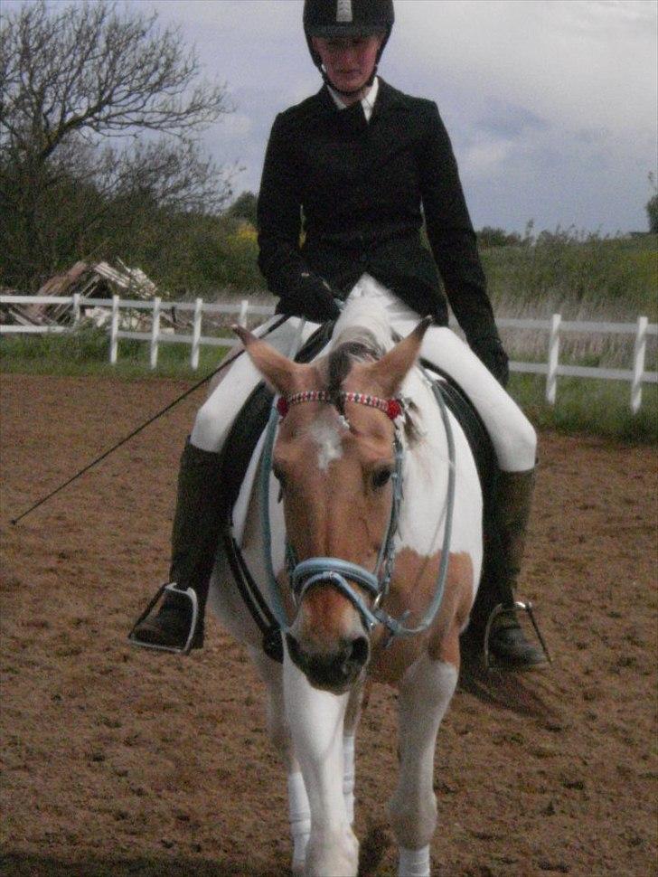 Klubstævne på Blis Rideklub :) billede 24