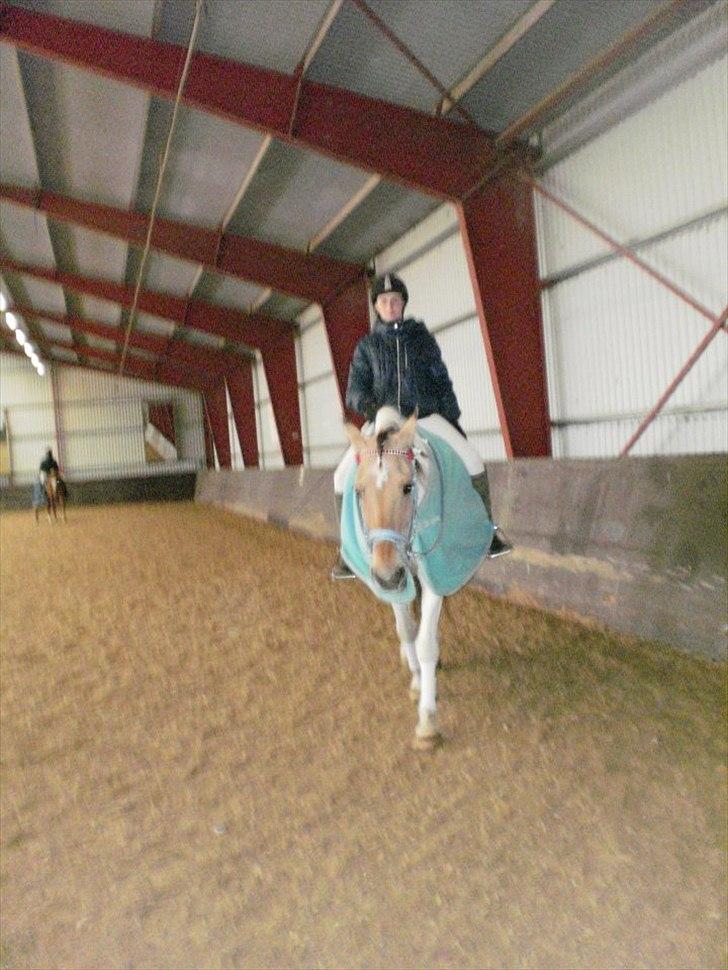 Klubstævne på Blis Rideklub :) billede 26