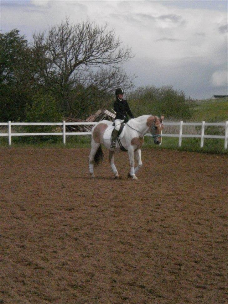 Klubstævne på Blis Rideklub :) billede 29