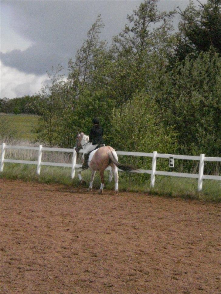 Klubstævne på Blis Rideklub :) billede 30