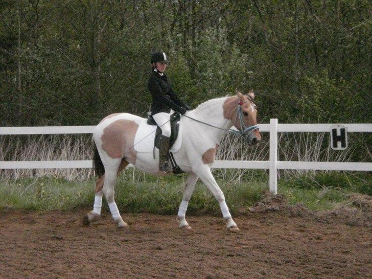 Klubstævne på Blis Rideklub :) billede 38