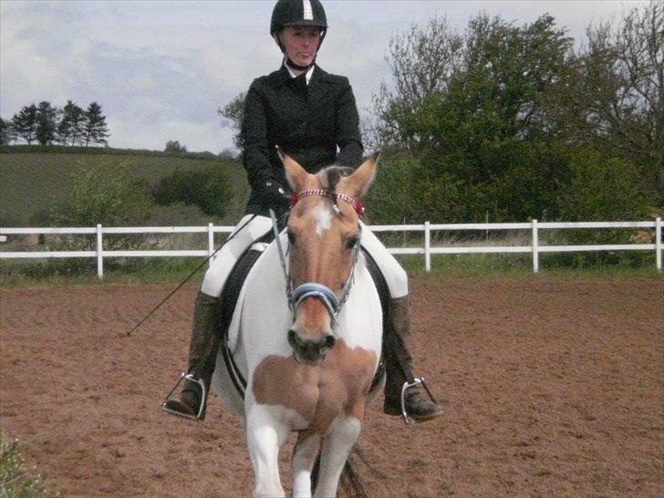 Klubstævne på Blis Rideklub :) billede 40