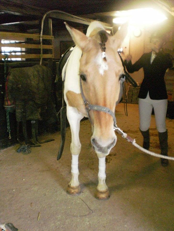 Klubstævne på Blis Rideklub :) billede 41